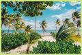 Best Costa Maya Beaches to Visit