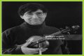 David Shapiro (musician)