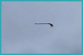 Disturbing video shows floating broom in the middle of the air and the internet is losing its collective mind