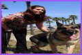 Megan Leavey Age, Birthday, Wikipedia, Who, Nationality, Biography