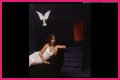 PinkPantheress's True Identity And Romantic Journey Explored