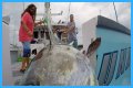 Who has the most expensive boat on Wicked Tuna?