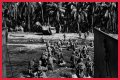 WWII's Most Daring Raids - Smithsonian Channel